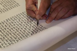 13177499 10209957435791568 502825622076649967 n 